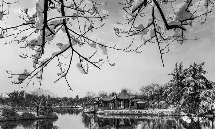 說好的暴雪傾城，是這樣嗎？